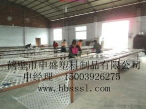 煤矿塑料网井下用价格 厂家 图片